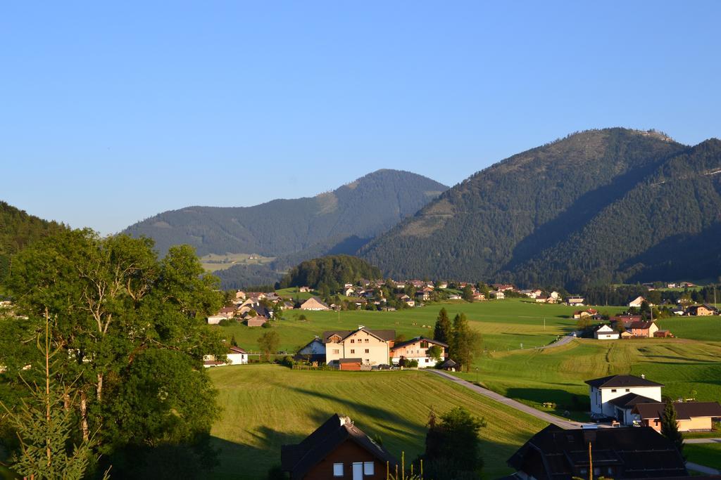 Appartements Ferienwohnungen Alpenblick Файстенау Экстерьер фото