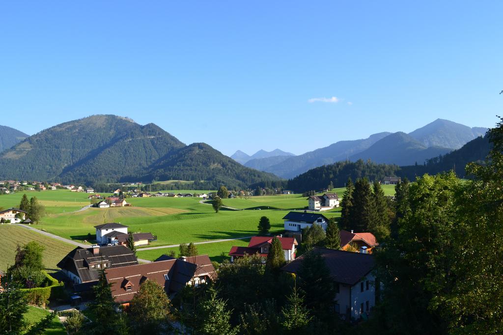 Appartements Ferienwohnungen Alpenblick Файстенау Экстерьер фото